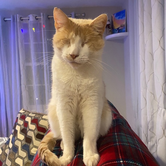 Meet your Posher, Courtney - Picture 1 of 1